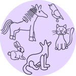 COMM. ANIMALE